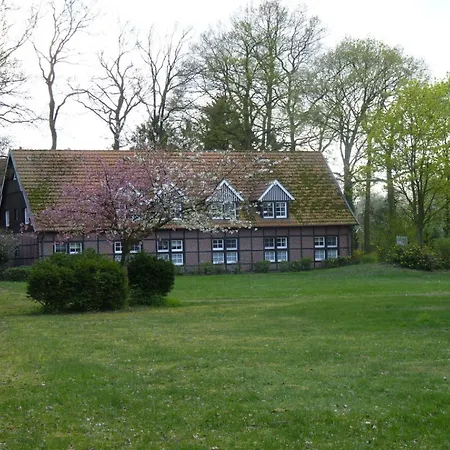 Aust - 3* Warendorf