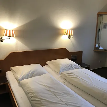 Hotel Aust -